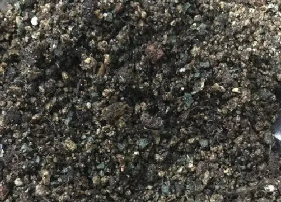 种植土壤|种花营养土怎么配 花卉营养土的配制方法