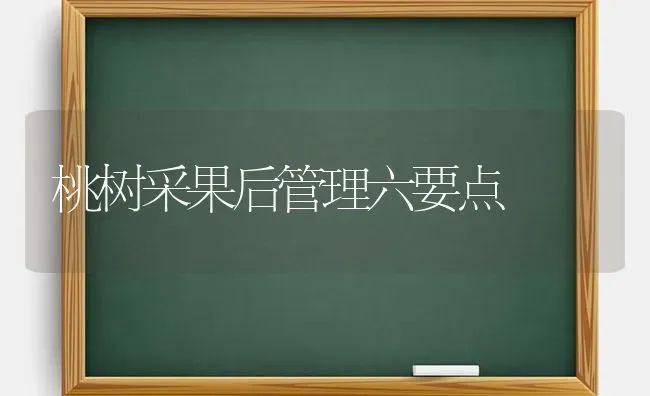 桃树采果后管理六要点 | 瓜果种植