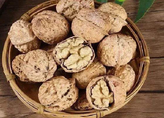食用科普|每天吃核桃的最佳时间