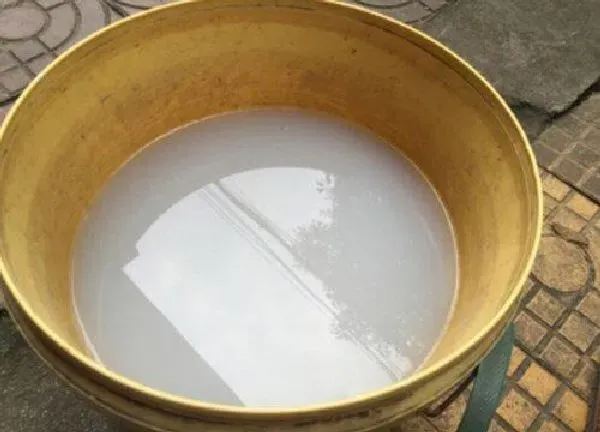 植物浇水|肥皂水浇花有什么好处和坏处 肥皂水浇花草杀虫