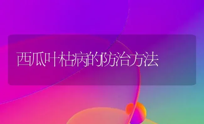 西瓜叶枯病的防治方法 | 瓜果种植