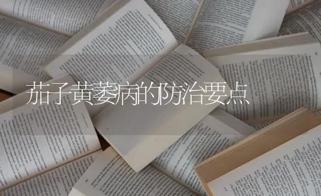 茄子黄萎病的防治要点 | 蔬菜种植