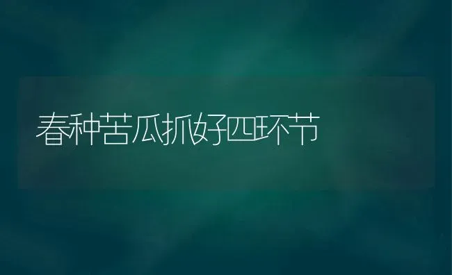 春种苦瓜抓好四环节 | 蔬菜种植