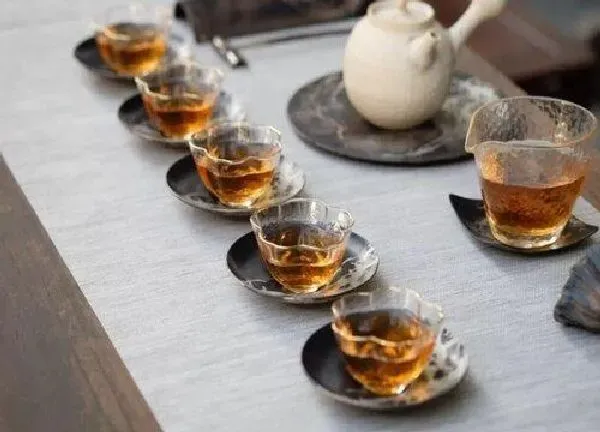 植物浇水|茶叶水适合浇什么花