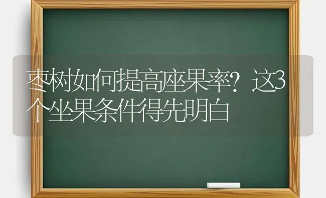 枣树如何提高座果率？这3个坐果条件得先明白 | 瓜果种植