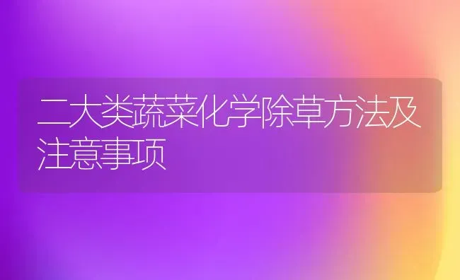二大类蔬菜化学除草方法及注意事项 | 蔬菜种植