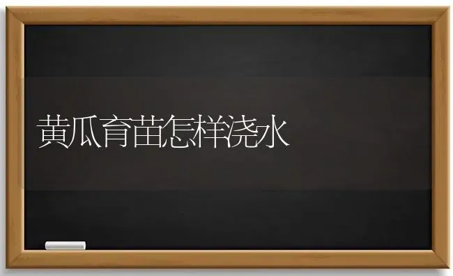 黄瓜育苗怎样浇水 | 蔬菜种植