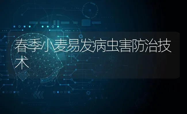 春季小麦易发病虫害防治技术 | 粮油作物种植