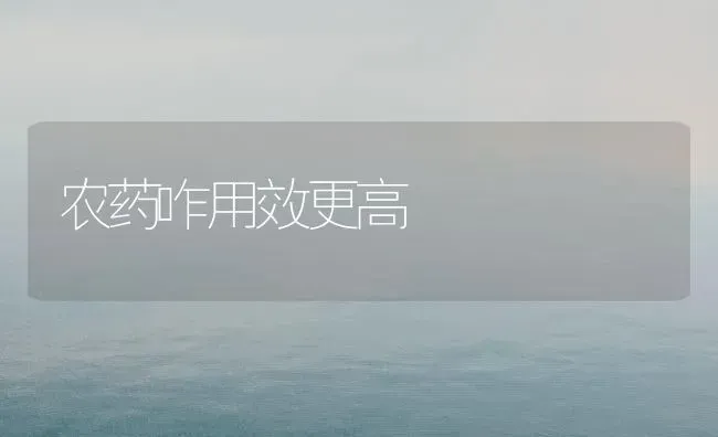 农药咋用效更高 | 种植病虫害防治
