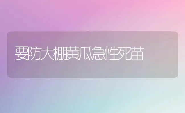 要防大棚黄瓜急性死苗 | 蔬菜种植