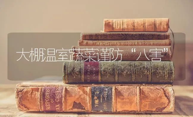 大棚温室蔬菜谨防“八害” | 蔬菜种植