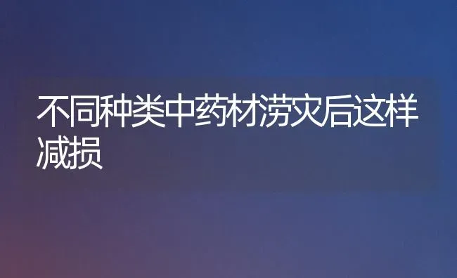 不同种类中药材涝灾后这样减损 | 药材种植