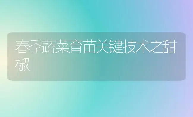 春季蔬菜育苗关键技术之甜椒 | 蔬菜种植
