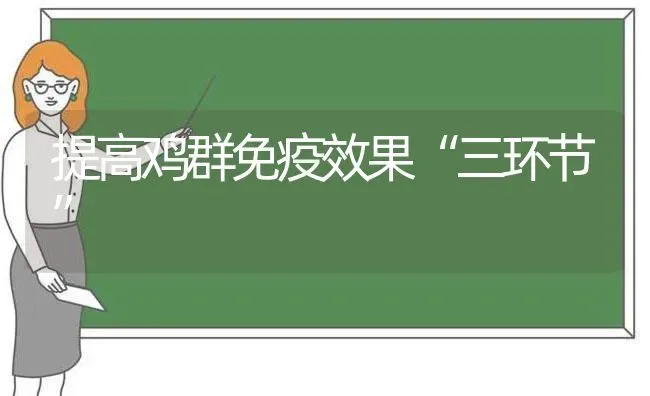 提高鸡群免疫效果“三环节” | 瓜果种植