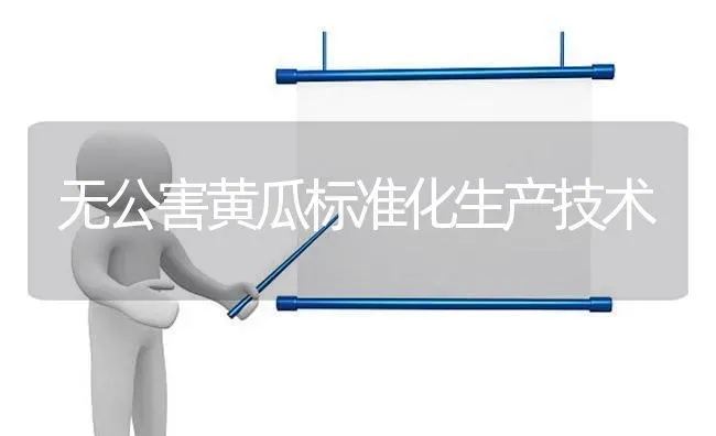 无公害黄瓜标准化生产技术 | 蔬菜种植