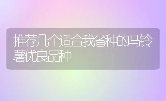 推荐几个适合我省种的马铃薯优良品种 | 粮油作物种植