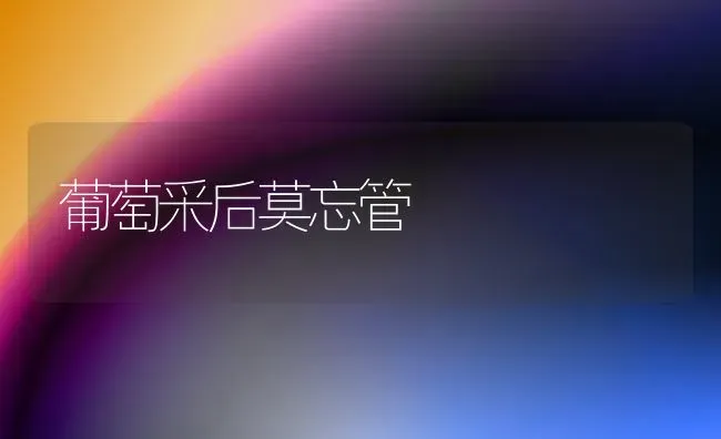 葡萄采后莫忘管 | 瓜果种植