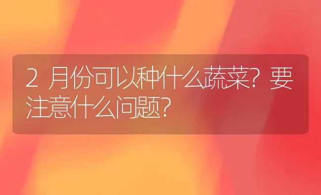 2月份可以种什么蔬菜？要注意什么问题？ | 蔬菜种植