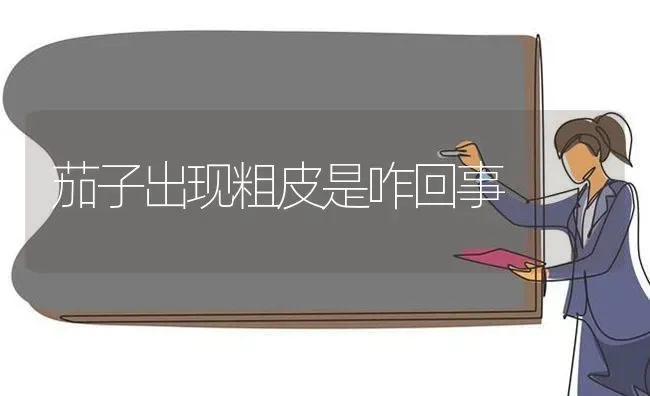 茄子出现粗皮是咋回事 | 蔬菜种植