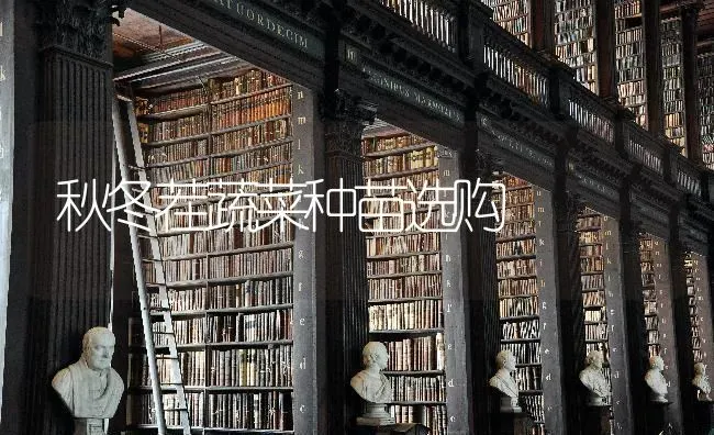 秋冬茬蔬菜种苗选购 | 蔬菜种植