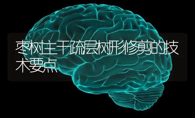 枣树主干疏层树形修剪的技术要点 | 瓜果种植