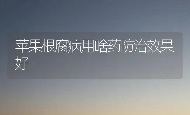 苹果根腐病用啥药防治效果好 | 瓜果种植