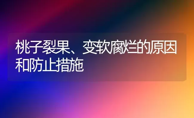 桃子裂果、变软腐烂的原因和防止措施 | 瓜果种植