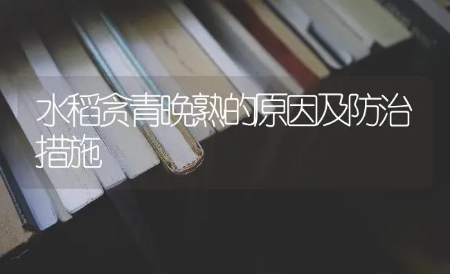 水稻贪青晚熟的原因及防治措施 | 粮油作物种植