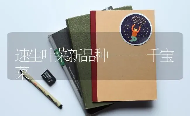 速生叶菜新品种---千宝菜 | 蔬菜种植