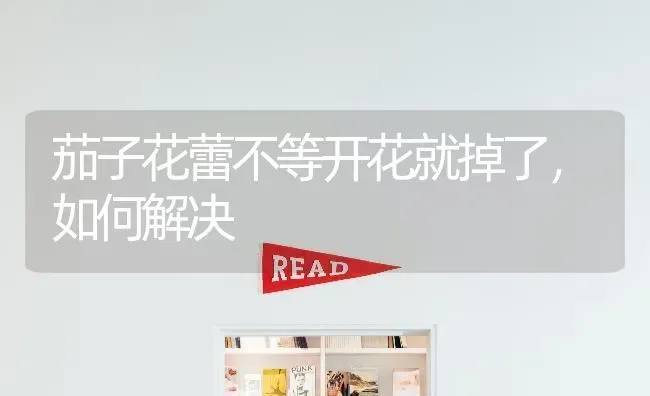 茄子花蕾不等开花就掉了，如何解决 | 蔬菜种植