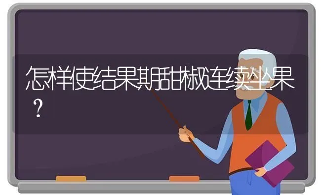怎样使结果期甜椒连续坐果？ | 瓜果种植