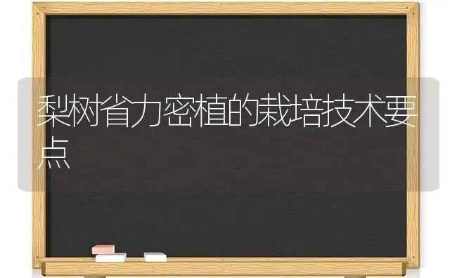 梨树省力密植的栽培技术要点 | 瓜果种植