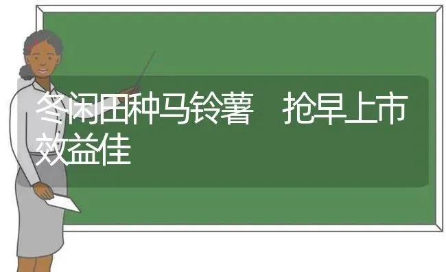 冬闲田种马铃薯 抢早上市效益佳 | 粮油作物种植