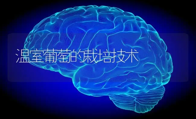 温室葡萄的栽培技术 | 瓜果种植