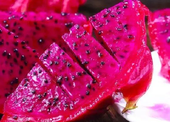 颜色花|火龙果肉有几种颜色