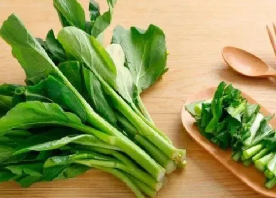 食用须知|芥蓝的花能吃吗