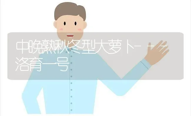 中晚熟秋冬型大萝卜---洛育一号 | 蔬菜种植