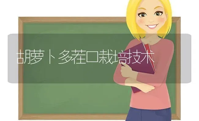 胡萝卜多茬口栽培技术 | 蔬菜种植