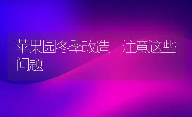 苹果园冬季改造 注意这些问题 | 瓜果种植