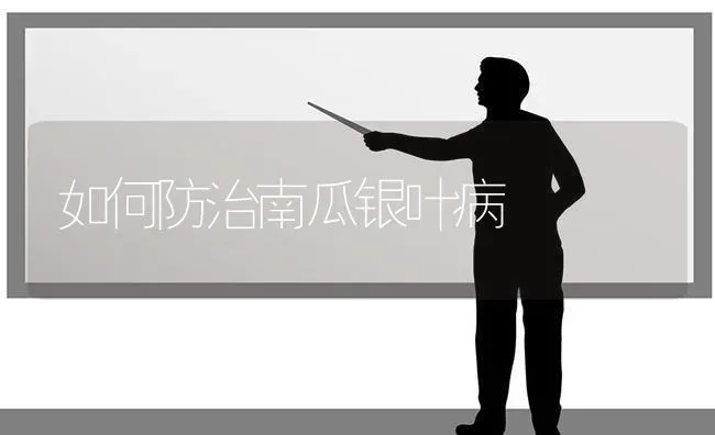 如何防治南瓜银叶病 | 蔬菜种植