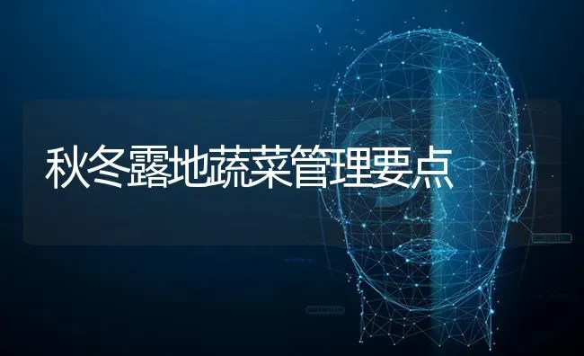 秋冬露地蔬菜管理要点 | 蔬菜种植