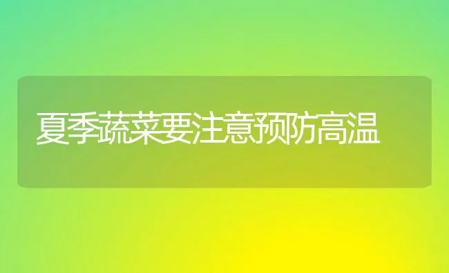 夏季蔬菜要注意预防高温 | 蔬菜种植
