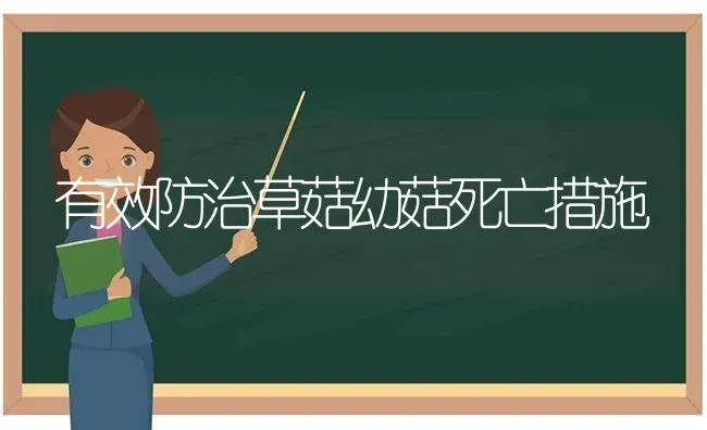 有效防治草菇幼菇死亡措施 | 食用菌种植