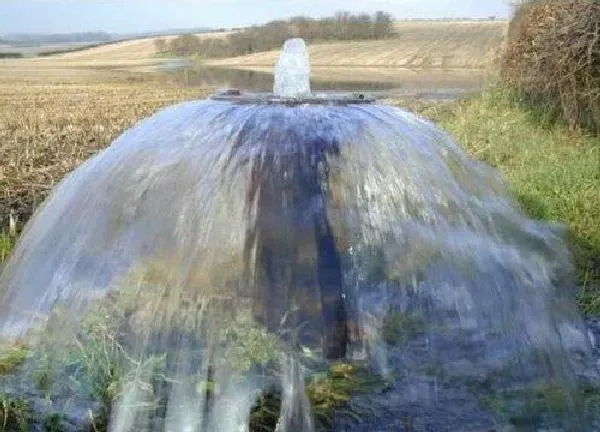 植物浇水|地下水浇花好不好 怎么把地下水变成弱酸性浇花