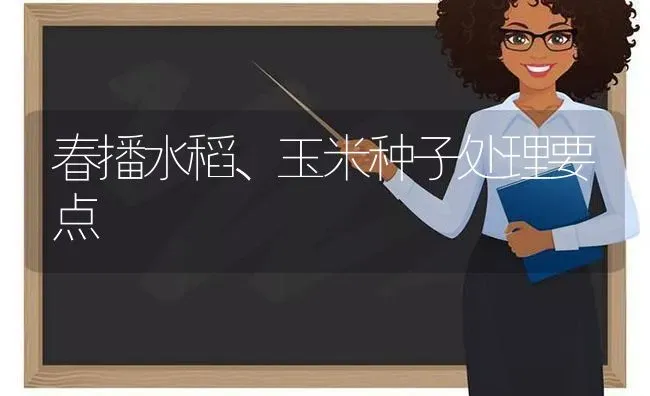 春播水稻、玉米种子处理要点 | 粮油作物种植
