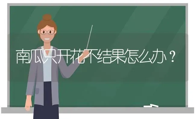 南瓜只开花不结果怎么办？ | 瓜果种植