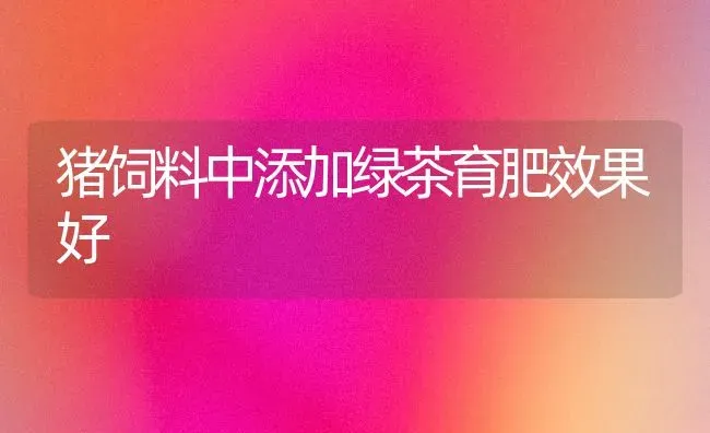 猪饲料中添加绿茶育肥效果好 | 瓜果种植