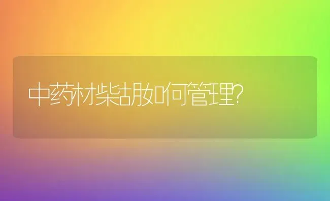 中药材柴胡如何管理？ | 药材种植