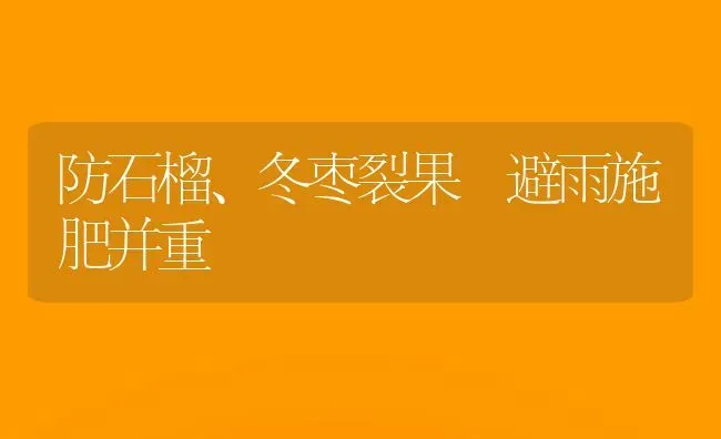 防石榴、冬枣裂果 避雨施肥并重 | 瓜果种植