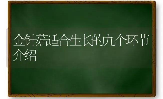 金针菇适合生长的九个环节介绍 | 食用菌种植